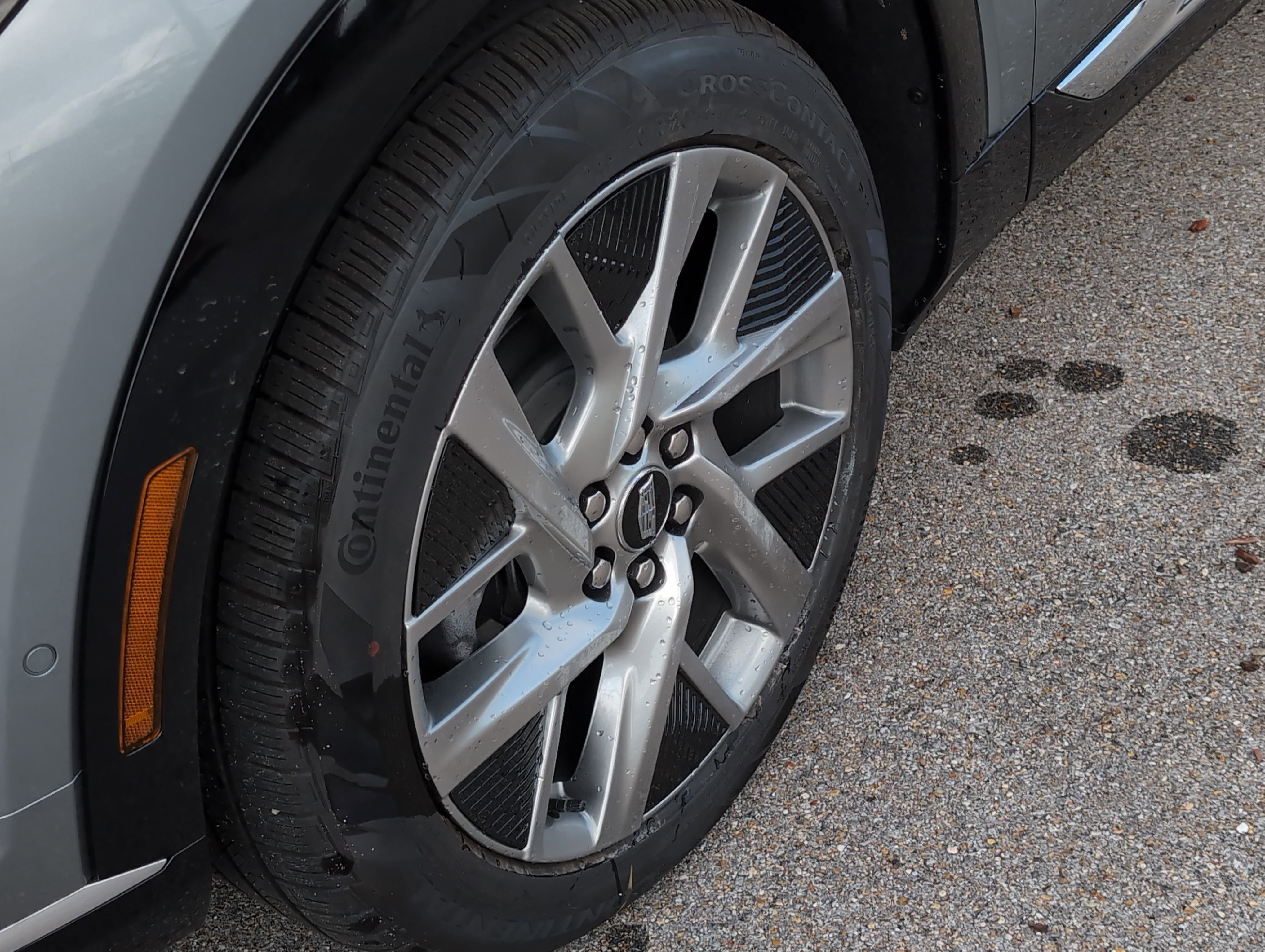 2025 Cadillac OPTIQ Luxury 1